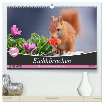 Eichhörnchen Momentaufnahmen fürs Herz (hochwertiger Premium Wandkalender 2027 DIN A2 quer), Kunstdruck in Hochglanz
