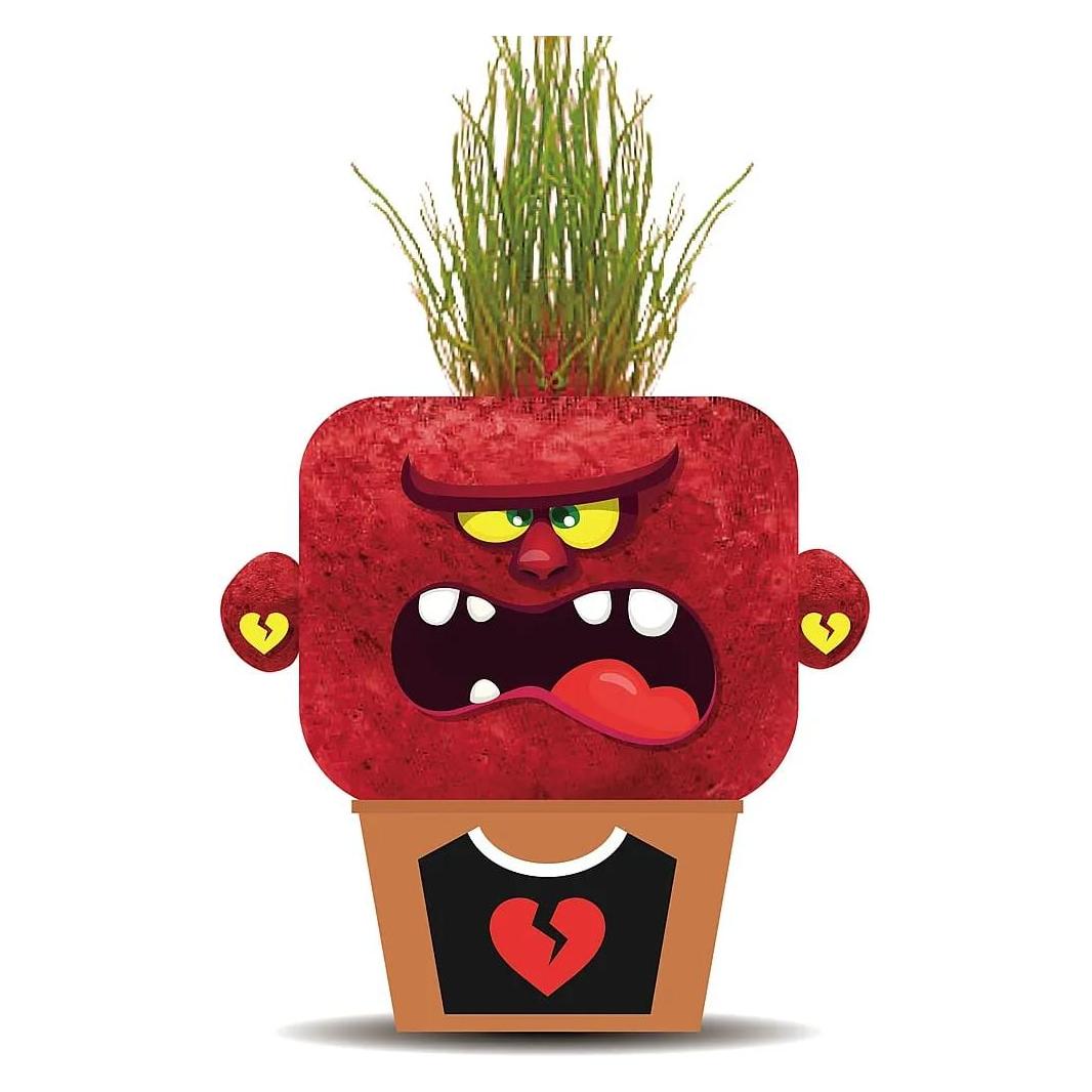 Hape Plant Pals-Angry Monsters (848099)