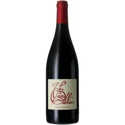 Autour du Cinsault 2025 - Les Vignes Oubliées