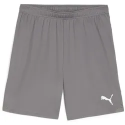 PUMA teamGOAL Shorts Herren 13 - cast iron/puma white S