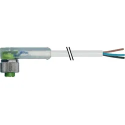 Murrelektronik M12-Buchse 7000-12381-2131000