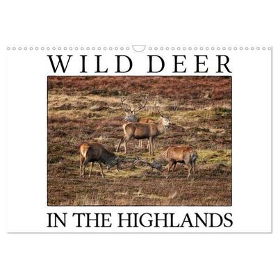 Wild Deer In The Highlands (Wall Calendar 2026 DIN A3 landscape), CALVENDO 12 Month Wall Calendar