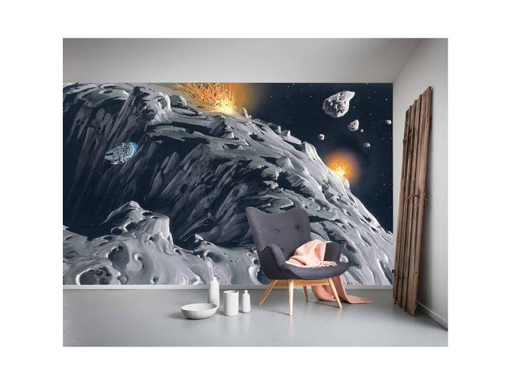 Papier peint Star Wars RMQ Asteroid 500 x 250cm