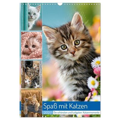 Spaß mit Katzen (Wandkalender 2027 DIN A3 hoch), CALVENDO Monatskalender