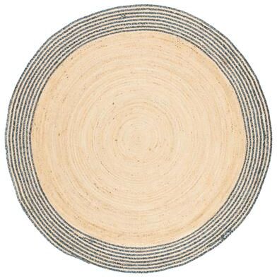 SAFAVIEH Handmade Cape Cod Modena Coastal Jute Rug