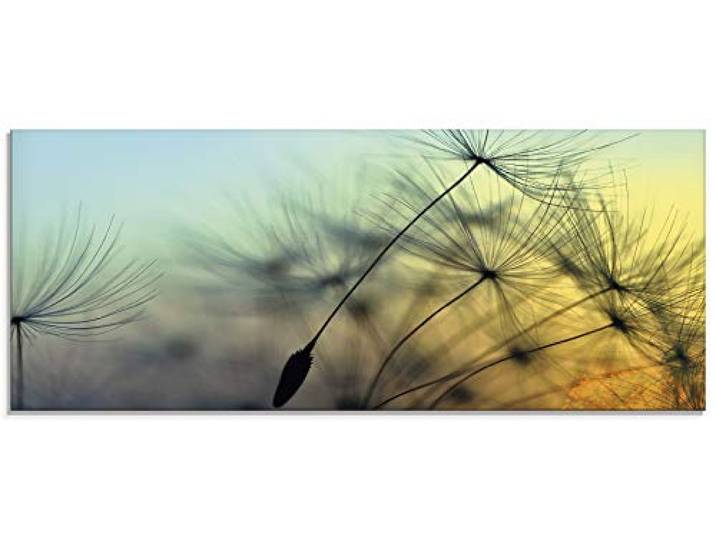 ARTland Wanddeko Glasbilder Wandbild Glas Bild einteilig 125x50 cm Querformat Natur Blumen Pusteblume Sonnenuntergang Himmel Moderne Kunst T5XL