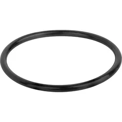 Dichtung O-Ring Schütz Ø 53 x 3,5 mm