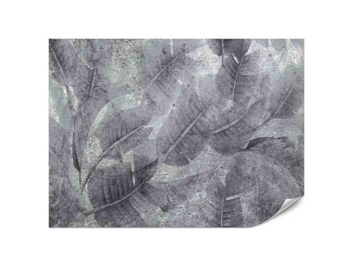 Muralo Fototapete Blätter auf Beton Abstraktion Vintage 350x256, Grau, Papier, Beton Optik, Rechteckig, 350x256 cm, Tapeten & Wandverkleidungen, Fototapeten