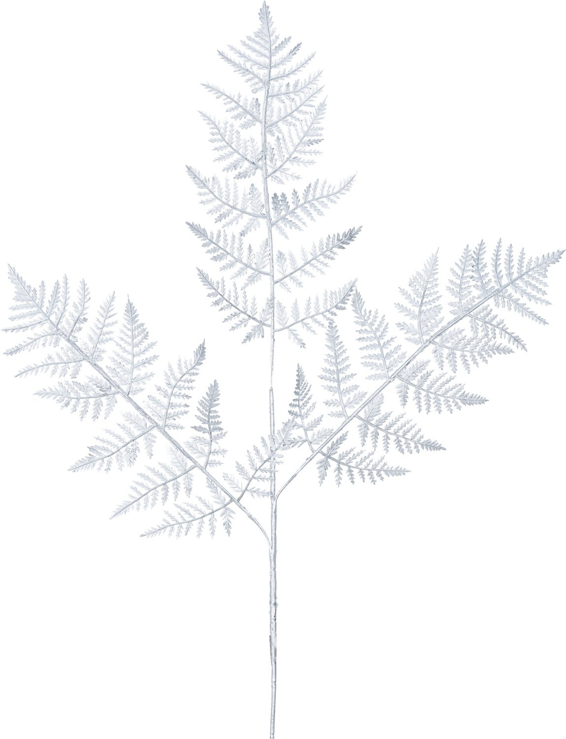 Easyplants Kunsttak Varen 78 cm Zilver