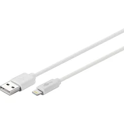 goobay Lightnin/USB-Kabel 72905 0.5 m