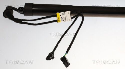 Triscan 8710 38302 Für Citroën
