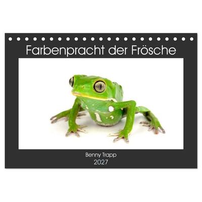 Farbenpracht der Frösche (Tischkalender 2027 DIN A5 quer), CALVENDO Monatskalender