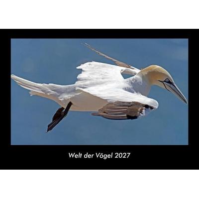 Welt der Vögel 2027 Fotokalender DIN A3