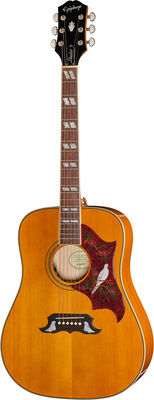 Epiphone Dove Studio Nat Natur