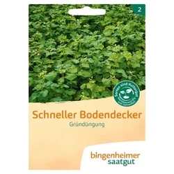 Bingenheimer Saatgut Schneller Bodendecker bio