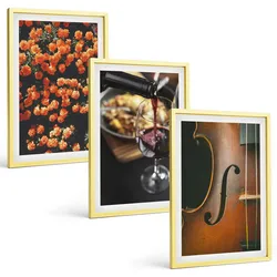 BILDER SET 3er Set - 40x60 cm Goldrahmen - Vintage Blumen Wein Geige
