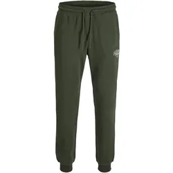 Jack & Jones, Herren, Sporthose, Jpstgordon Makoto Sweat Pants (S), Grün