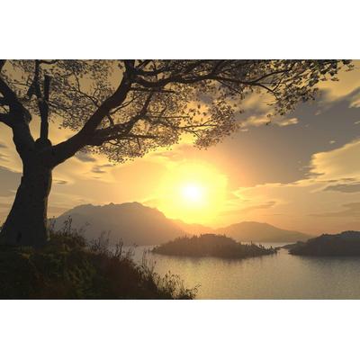Fototapete PAPERMOON "Landschaft", bunt, B:2,5m L:1,86m, Vlies, Tapeten