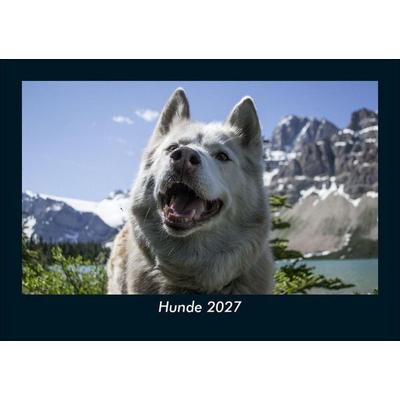 Hunde 2027 Fotokalender DIN A5