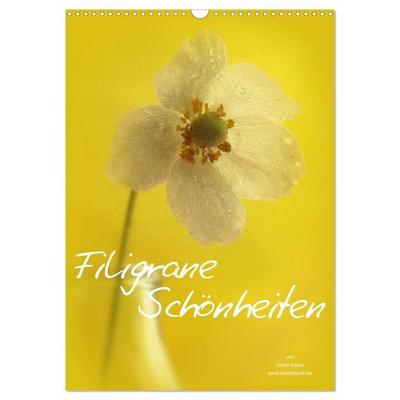 Filigrane Schönheiten 2027 (Wandkalender 2027 DIN A3 hoch), CALVENDO Monatskalender
