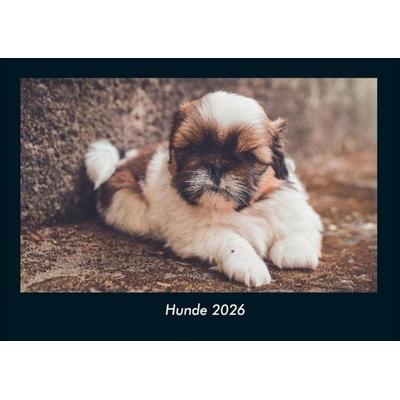 Hunde 2026 Fotokalender DIN A4