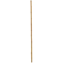 EUROPALMS Bambusrohr, Ø=3cm, 200cm