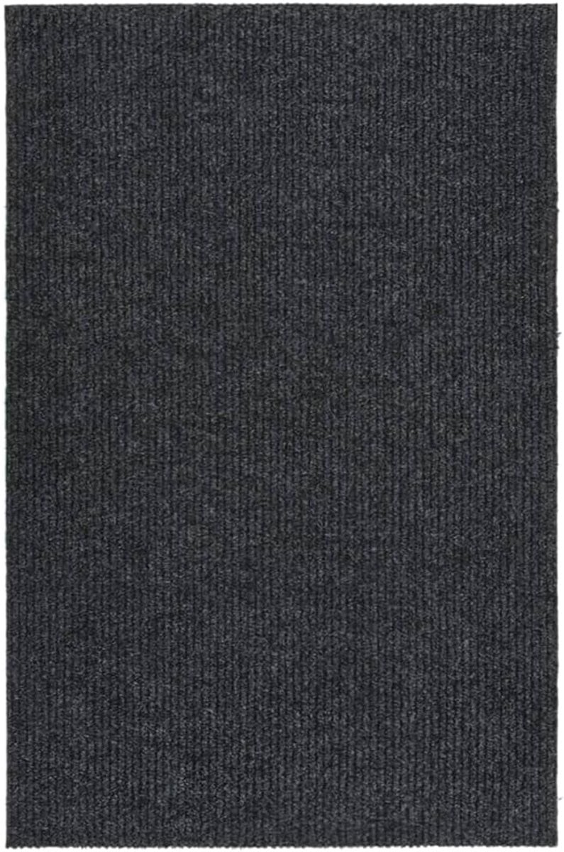Schoonloopmat Entremat Antraciet 100 x 150 cm Wasbaar en Antislip