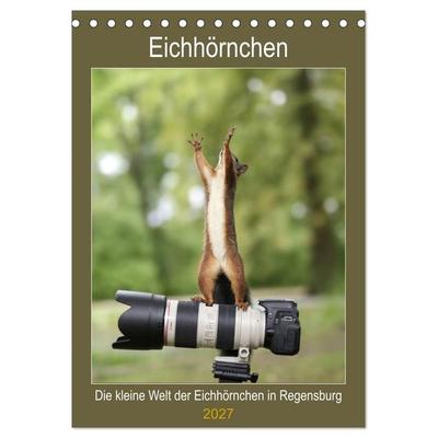 Die kleine Welt der Eichhörnchen in Regensburg (Tischkalender 2027 DIN A5 hoch), CALVENDO Monatskalender