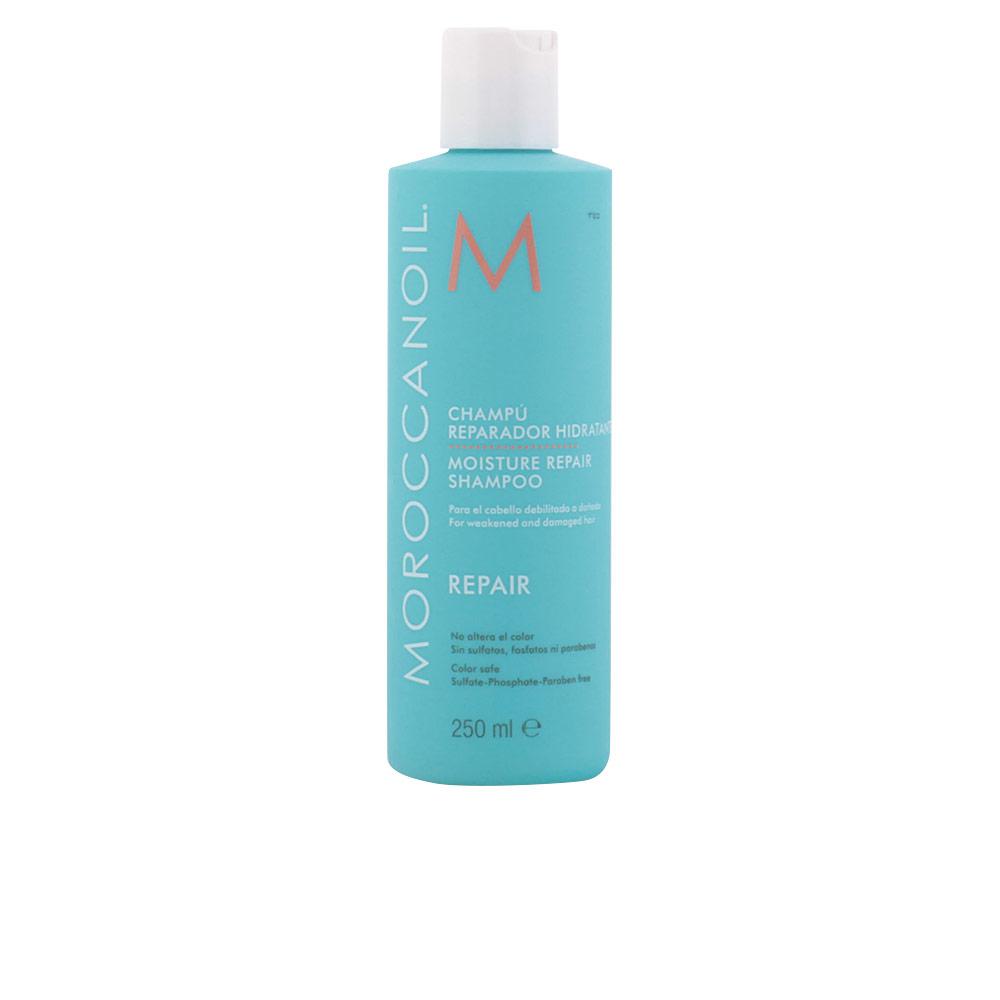 Repair Moisture Repair Shampoo 250 ml
