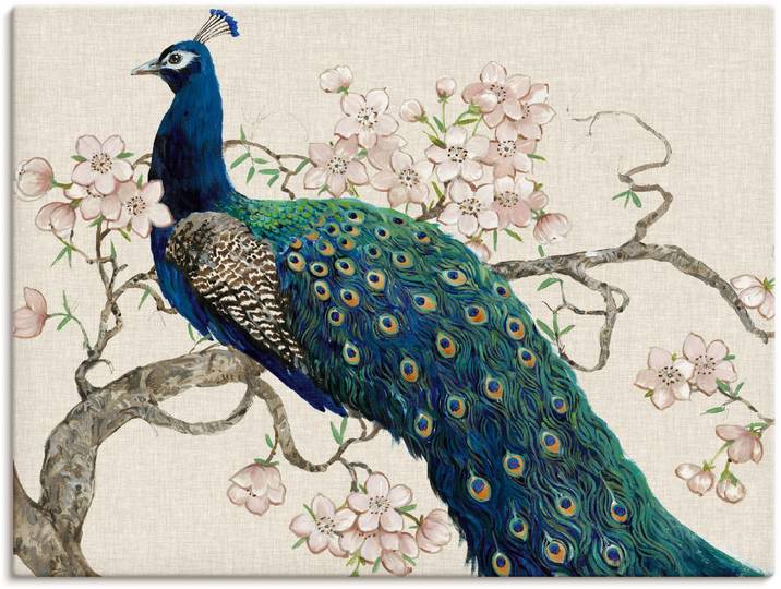 Artland Pfau & Blüten II Vögel 1 Stk. tlg. als Leinwandbild, Poster in verschied. Grössen