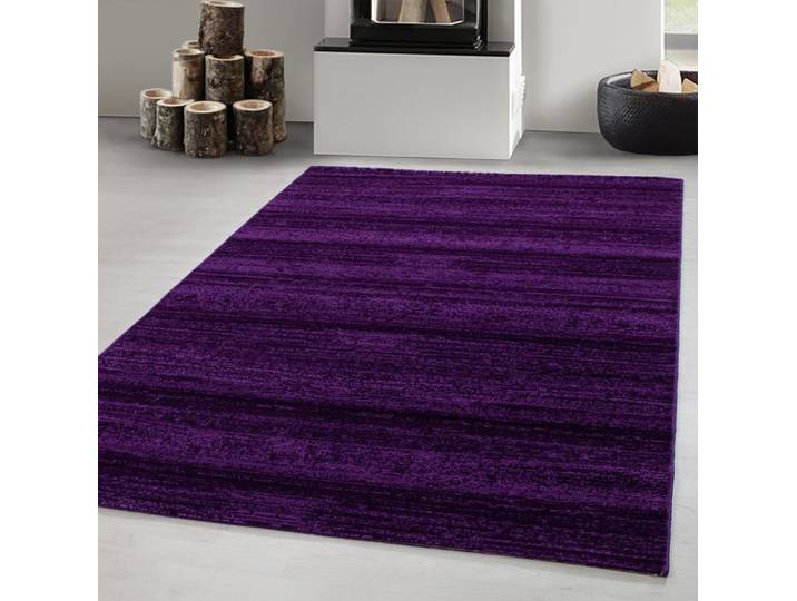 Carpetsale24 Tapis de Salon Moderne 240x340 cm - Violet Uni Poil Court et Moelleux Couleurs Tendance