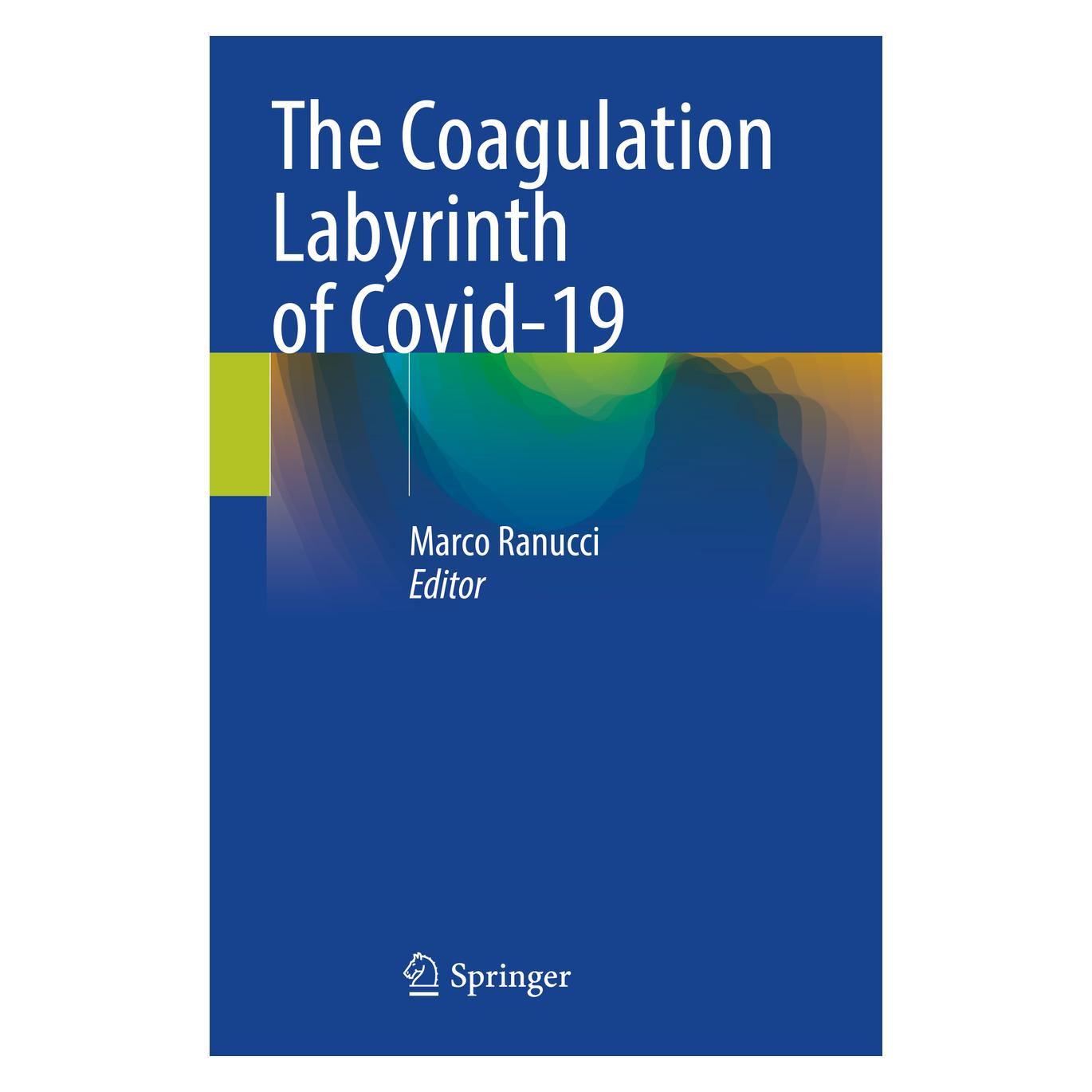 Springer The Coagulation Labyrinth of Covid-19 (Englisch, Softcover, Marco Ranucci) (56908339)