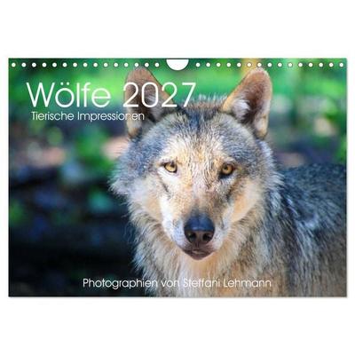 Wölfe 2027. Tierische Impressionen (Wandkalender 2027 DIN A4 quer), CALVENDO Monatskalender