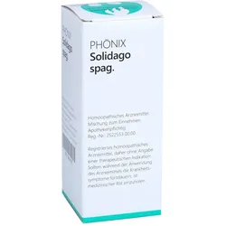Phönix Solidago spag. Mischung