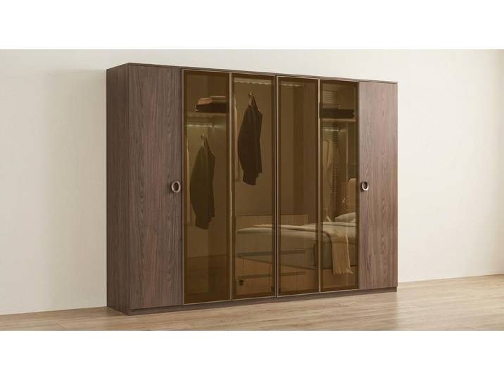 Xlmoebel Kleiderschrank Moderner Kleiderschrank in Braun mit Glasfront und (Kleiderschrank, 1-St., Kleiderschrank) Made in Europa