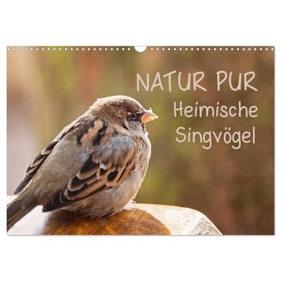 NATUR PUR Heimische Singvögel (Wandkalender 2027 DIN A3 quer), CALVENDO Monatskalender