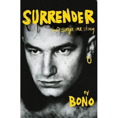 Surrender, Gebundene Ausgabe von Bono, Vermilion