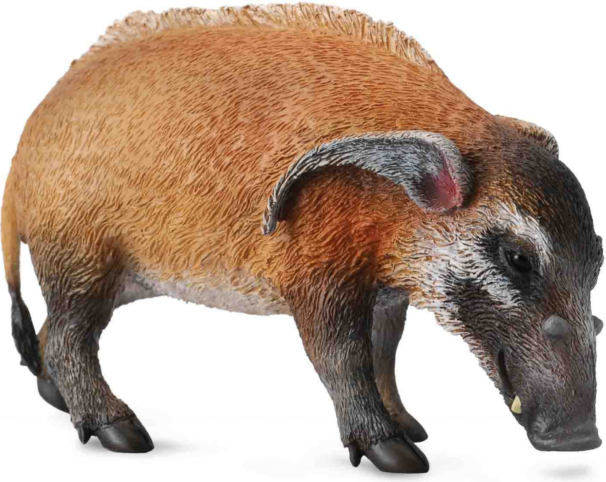 Collecta Red Pig speelgoed voor jonge ontdekkers