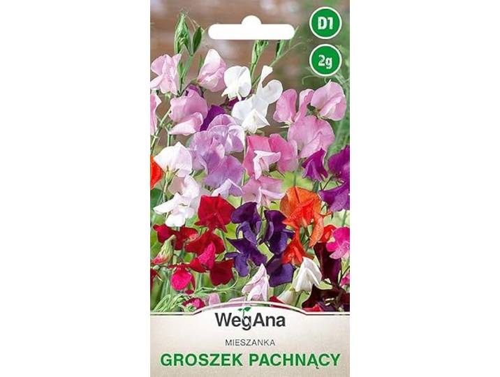 WegAna Geurige Erwtenzaden 2g, kleurenmix, kleurrijke klimplant, tuinplanten, balkonplanten, bijenweide, bloemzaden, bloemzaden