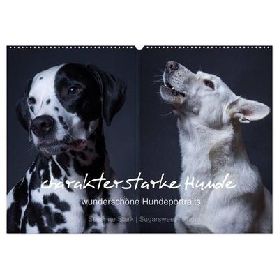 charakterstarke Hunde, wunderschöne Hundeportraits (Wandkalender 2027 DIN A2 quer), CALVENDO Monatskalender