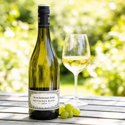 Weingut Bassermann-Jordan 2024 Bassermann-Jordan Sauvignon Blanc 2024 Sauvignon Blanc Deutschland