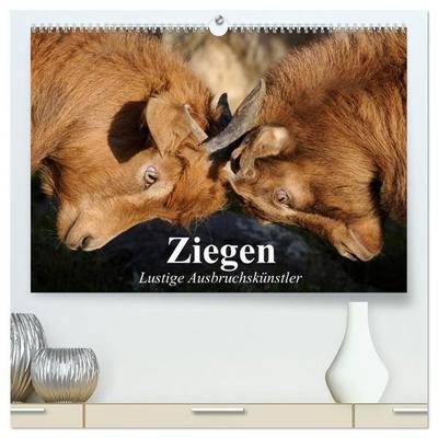 Ziegen. Lustige Ausbruchskünstler (hochwertiger Premium Wandkalender 2027 DIN A2 quer), Kunstdruck in Hochglanz