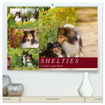 SHELTIES Liebe auf 4 Pfoten (hochwertiger Premium Wandkalender 2027 DIN A2 quer), Kunstdruck in Hochglanz