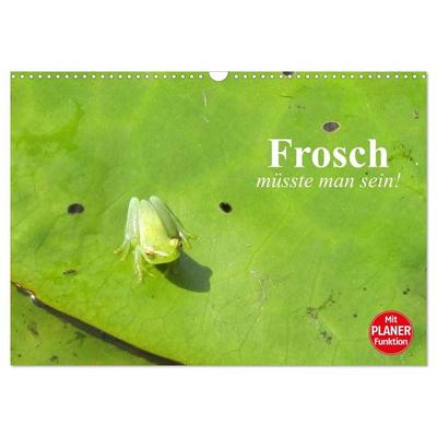 Frosch müsste man sein! (Wandkalender 2027 DIN A3 quer), CALVENDO Monatskalender