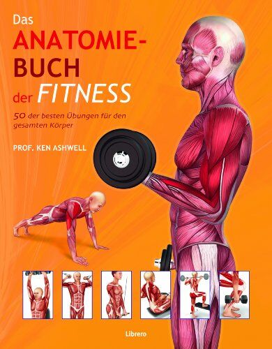 Ken Ashwell - Das Anatomie-Buch der Fitness: Dieser für Praxis und Theorie konzipierte Ratgeber wendet sich an Sportstudenten ebenso wie an Trainer, Kraft-, Fitness- und Freizeitsportler - Preis vom 16.10.2026 11:41:07 h