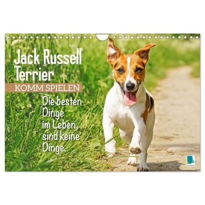 Jack Russell Terrier: Komm spielen (Wandkalender 2026 DIN A4 quer), CALVENDO Monatskalender