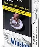 Winston PLUS SILVER100 - 1 Stange (10x20)