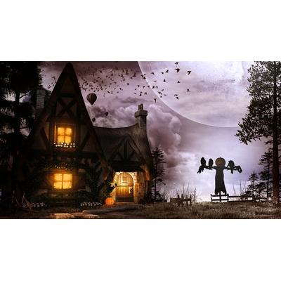 Fototapete PAPERMOON "Alte Hütte und Vogelscheuche", bunt, B:5m L:2,8m, Vlies, Tapeten