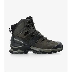 Salomon, Herren, Wanderschuhe, Quest 4 GORE-TEX (46), Grün, Schwarz