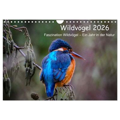 Wildvögel 2026 (Wandkalender 2026 DIN A4 quer), CALVENDO Monatskalender
